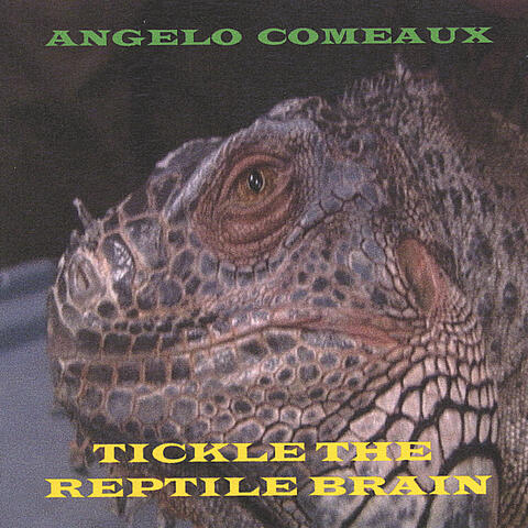 Tickle the Reptile Brain