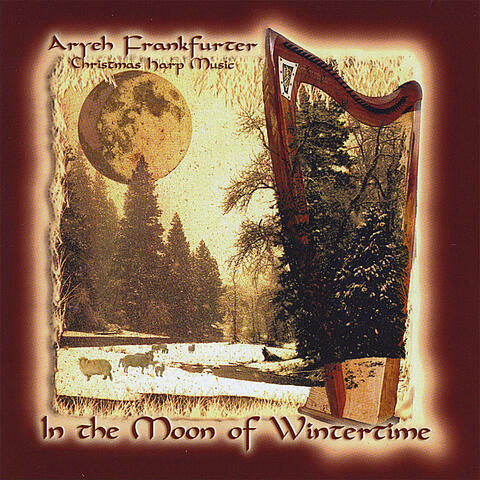 In the Moon of Wintertime