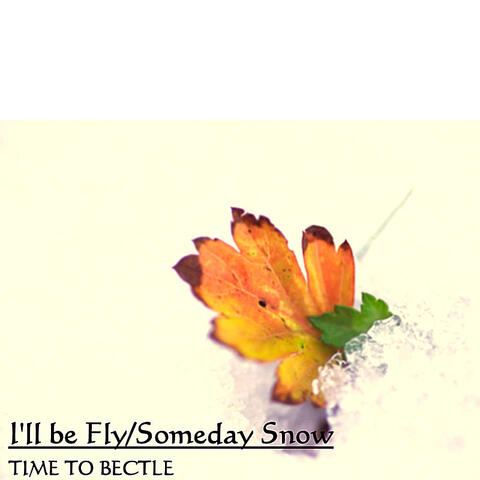 I'll be Fly / Someday Snow