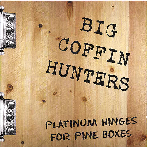 Platinum Hinges for Pine Boxes