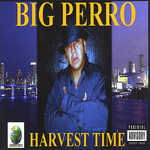 Harvest Time