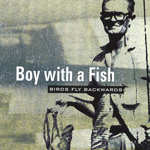 Birds Fly Backwards