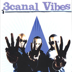 Vibes It Up