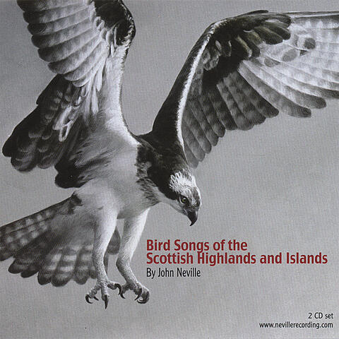 Bird Songs of the Scottish Highlands and Islands