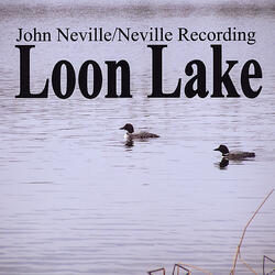 Soundscape of Pristine Boreal Lake