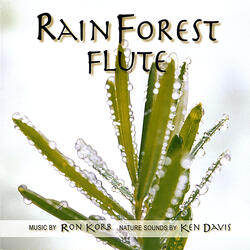 Daintree Song
