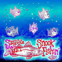 Snook Fishin'