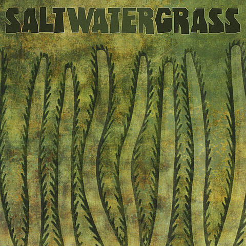 Saltwater Grass
