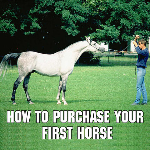 Purchasing Your First Horse