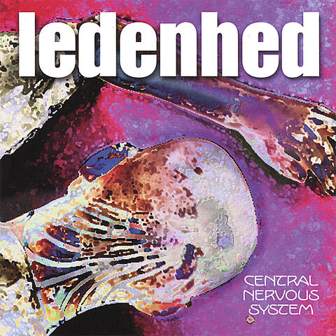 Ledenhed