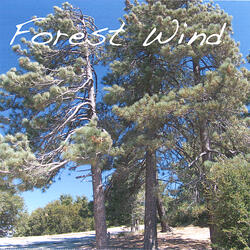 Forest Wind
