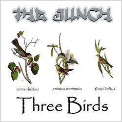 Three Birds (Single Version)