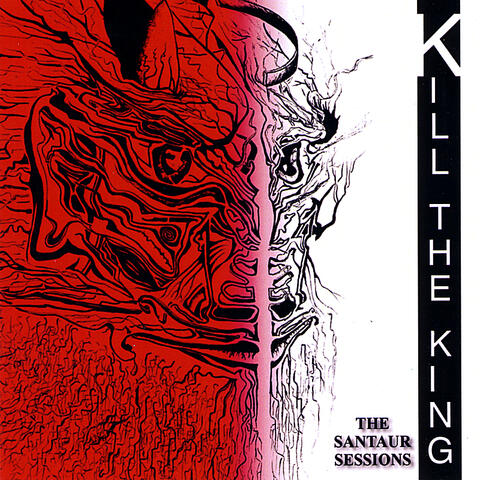 The Santaur Sessions
