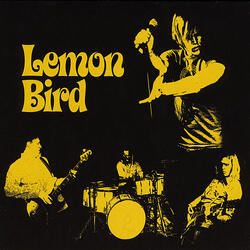 (All the Little) Lemon Birds