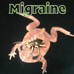 Migraine - Gas Mask 00_11_13 to 00_24_28
