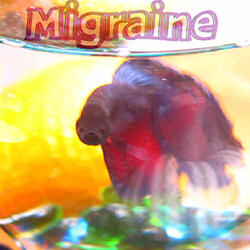 Migraine - 201 - Wet 00_50_56 to 01_12_12