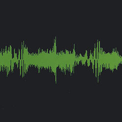 conversation on the citixen band