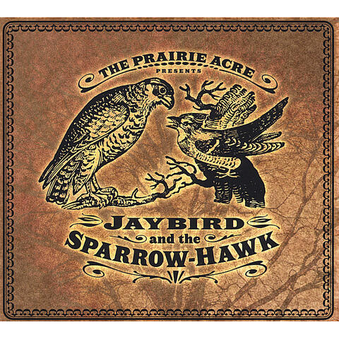 Jaybird and the Sparrow-hawk
