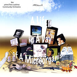 A Life in A Day of A Microorgansim:  Afternoon & Afterlife