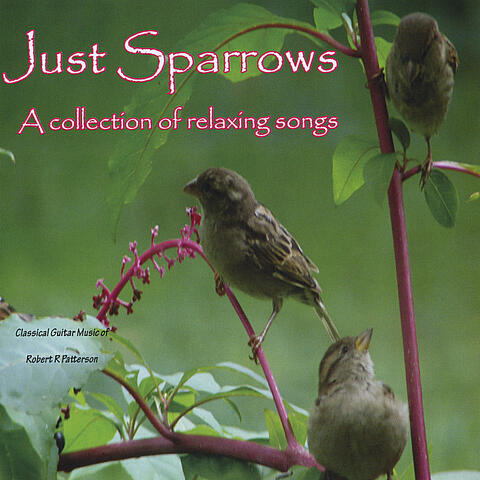 Just Sparrows