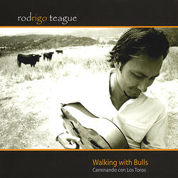 Walking With Bulls