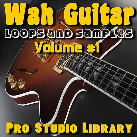 Wah Guitar -  Loops and Samples, Volume #1
