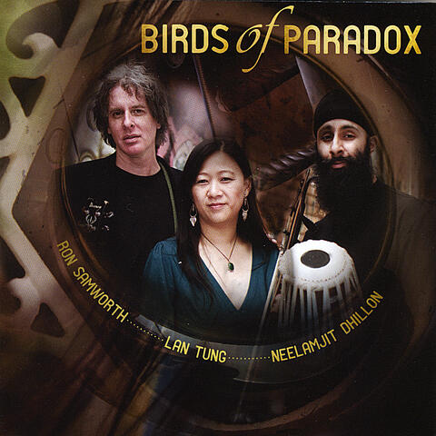 Birds of Paradox
