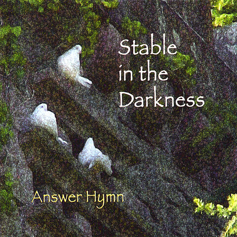 Stable in the Darkness
