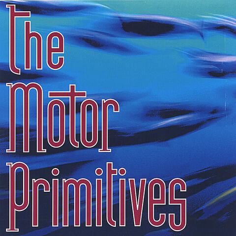 The Motor Primitives