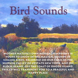 Birds By The Ocean