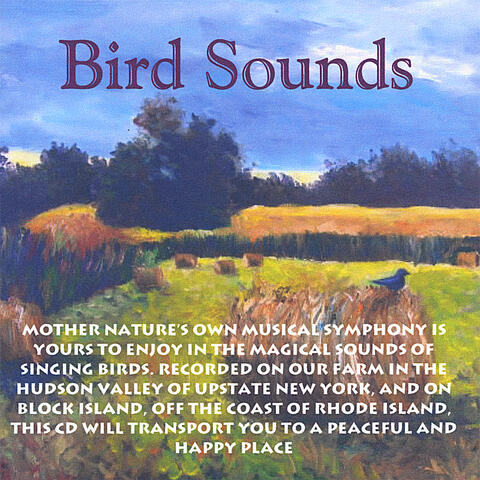 Bird Sounds