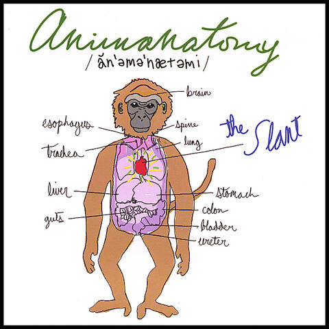 Animanatomy