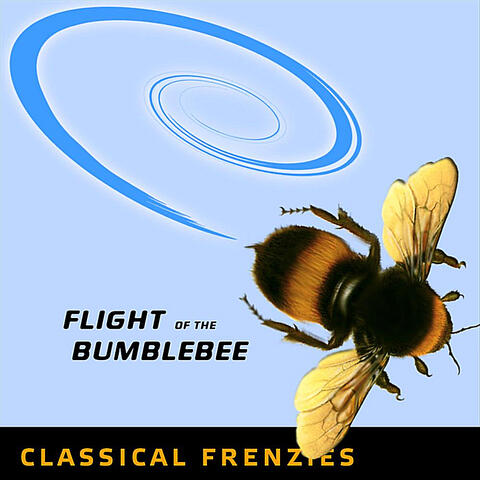 Flight of the Bumblebee - Rock Band Network version