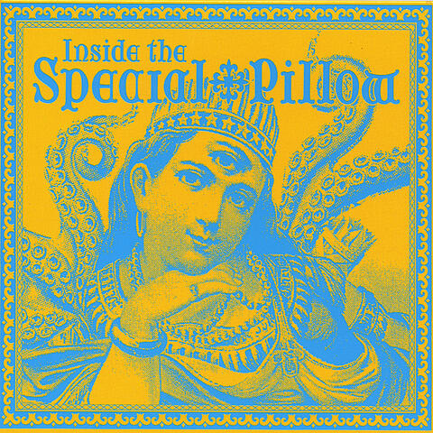 Inside the Special Pillow