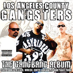 Gangster From the Streets
