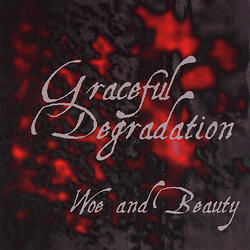 Graceful Degradation