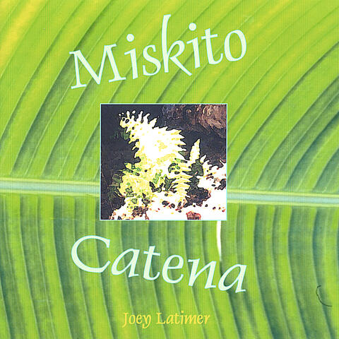 Miskito Catena
