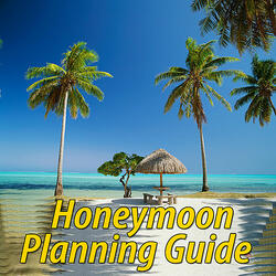 How to Plan Your Honeymoon