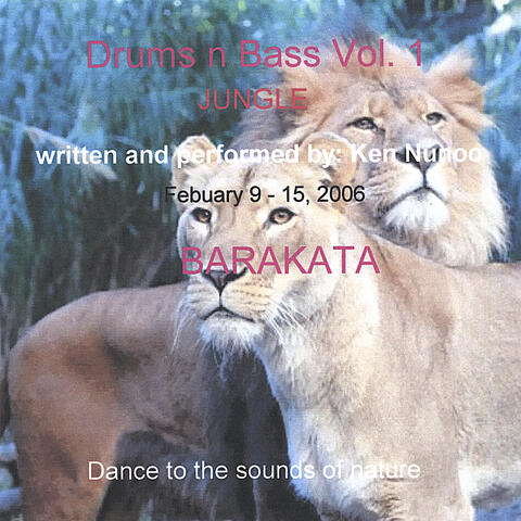 Drums n Bass Vol. 1