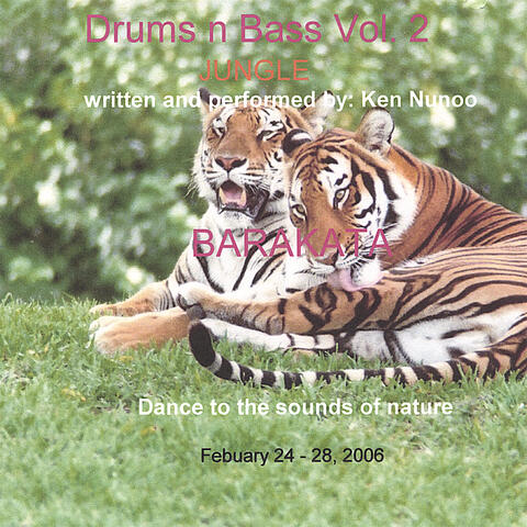 Drums n Bass Vol. 2