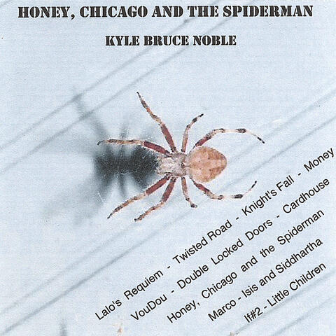 Honey, Chicago & the Spiderman