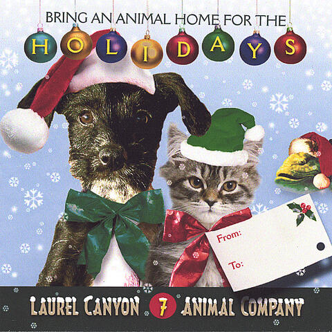 Bring An Animal Home For The Holidays
