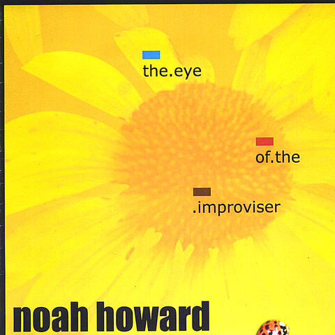 Eye of the Improviser