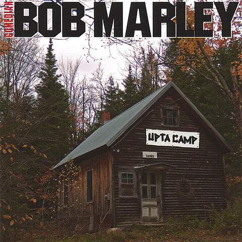 Comedian Bob Marley