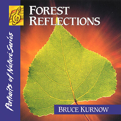 Forest Reflections