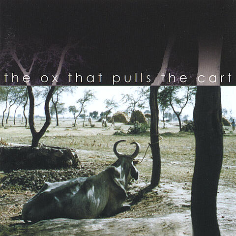 The Ox That Pulls the Cart