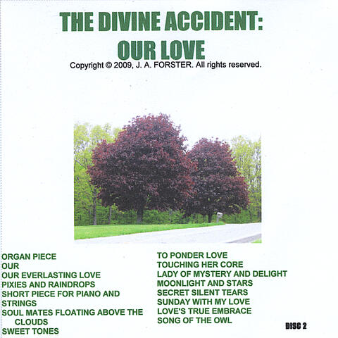 The Divine Accident: Our Love Disc2