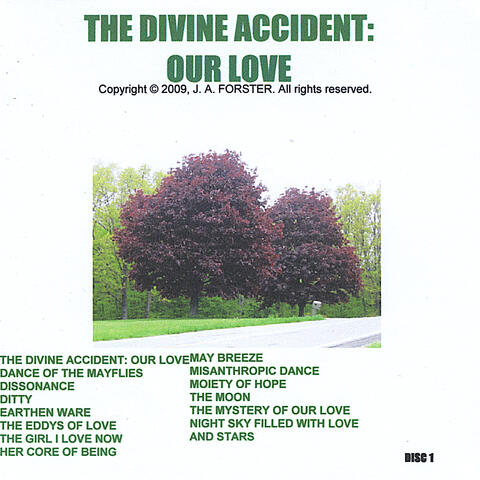 The Divine Accident: Our Love