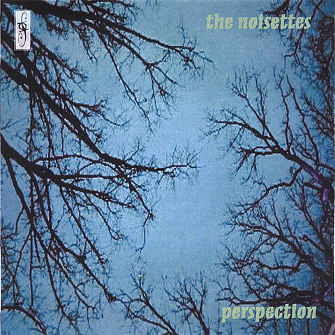 perspection