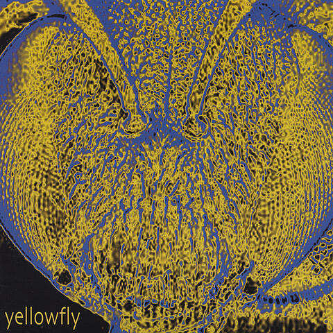 Yellowfly